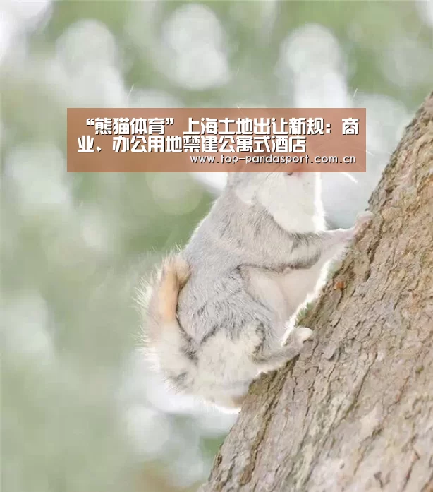 “熊猫体育”上海土地出让新规:商业、办公用地禁建公寓式酒店(图1) 熊猫娱乐