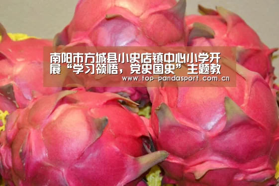 熊猫体育
