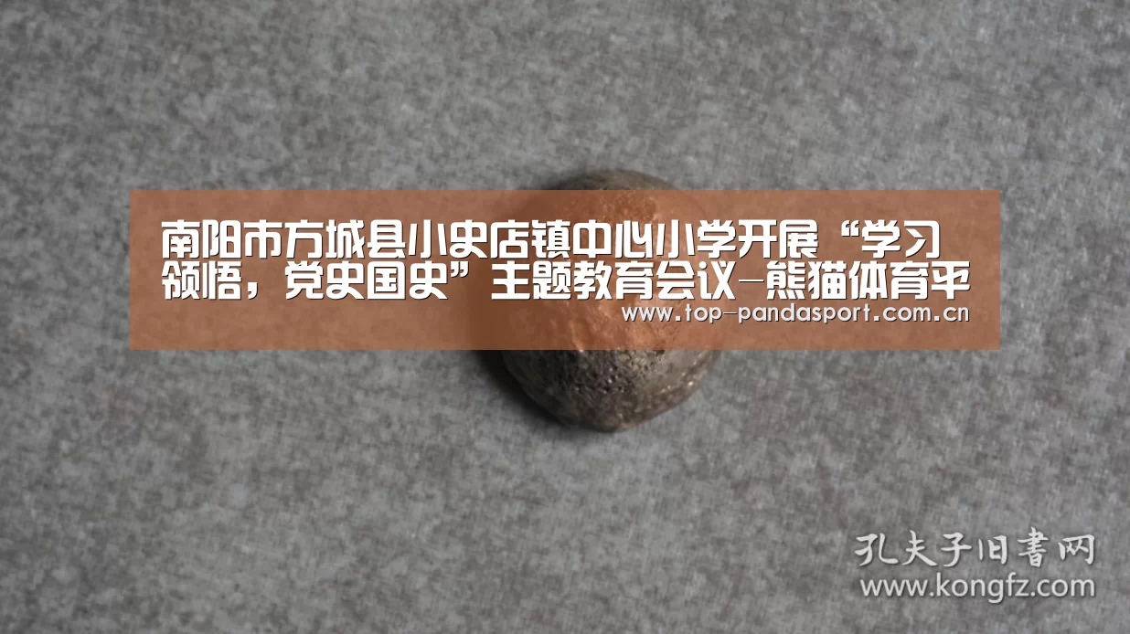 熊猫体育官网