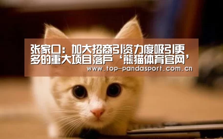 熊猫体育平台