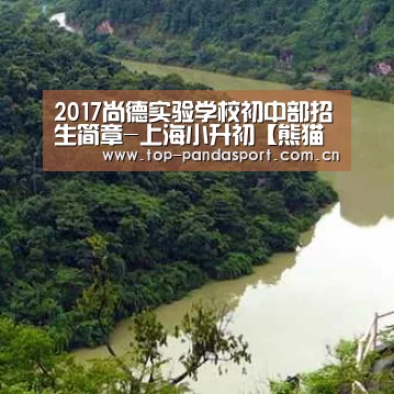 熊猫体育官网