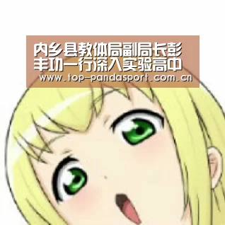 内乡县教体局副局长彭丰功一行深入实验高中召开教育教学质量提升督导会-熊猫体育官网(图3) 熊猫体育平台