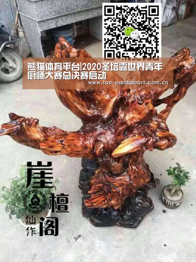 熊猫体育平台|2020圣培露世界青年厨师大赛总决赛启动(图2) 熊猫娱乐