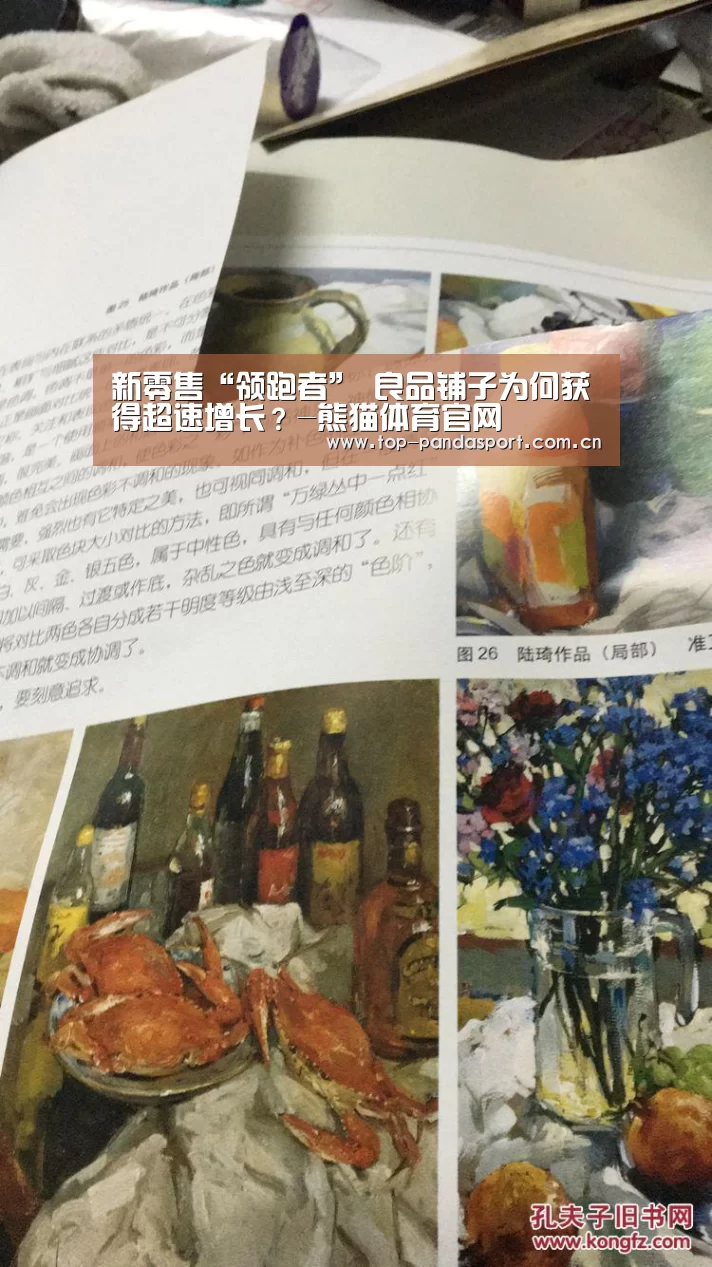 熊猫体育官网