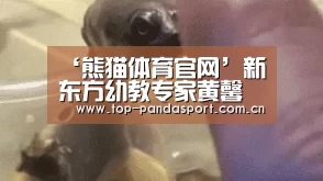 ‘熊猫体育官网’新东方幼教专家黄馨仪:关于小班入园与大班幼小衔接(图2) 熊猫体育